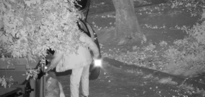 Dwaj mężczyźni podrzucali odpady. Przyłapały ich patrole straży miejskiej
