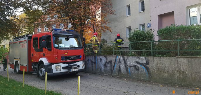 Akcja strażaków w wieżowców przy ul. Jagiellońskiej w Olsztynie