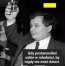 Zdjęcie 12
