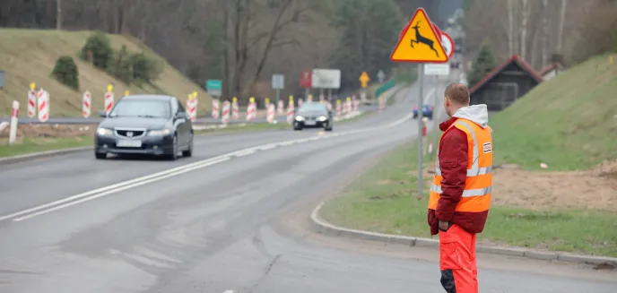 Mieszkańcy Ługwałdu nie chcą obwodnicy Olsztyna przy swoich domach. Wnioskują o uznanie drzew za pomniki przyrody