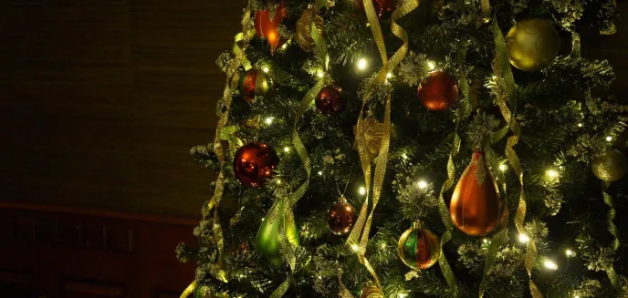 Boże Narodzenie 2022 droższe od zeszłorocznego. Ile zapłacimy za choinkę?
