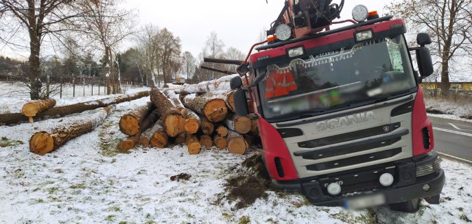 Artykuł: Na DK51 kierowca ciężarówki stracił panowanie nad pojazdem. Do rowu wysypały się bale drewna