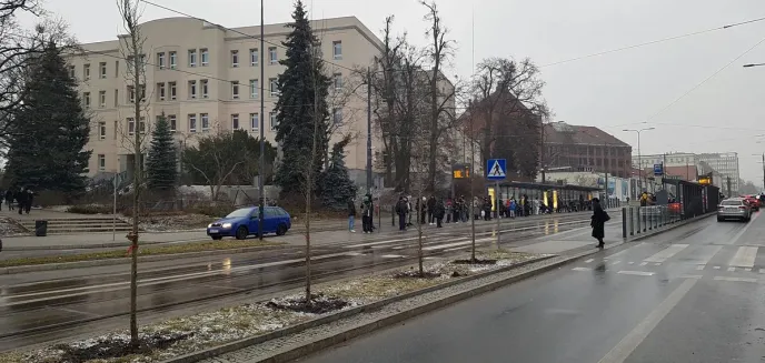 W centrum pojawiły się nowe nasadzenia. Czy przetrwają wiosnę?