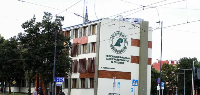 Miliony na reklamę Lasów Państwowych w prorządowej prasie i dziennikach lokalnych
