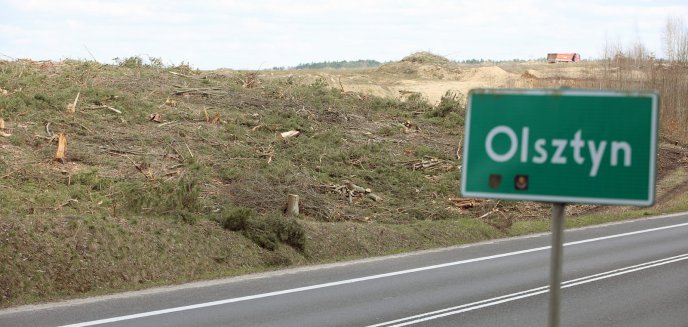 Wycinają drzewa na granicy Olsztyna. Co powstanie w zamian? [ZDJĘCIA]