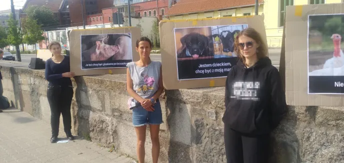 Aktywiści uświadamiali olsztynian w kwestii okrucieństwa hodowli zwierząt