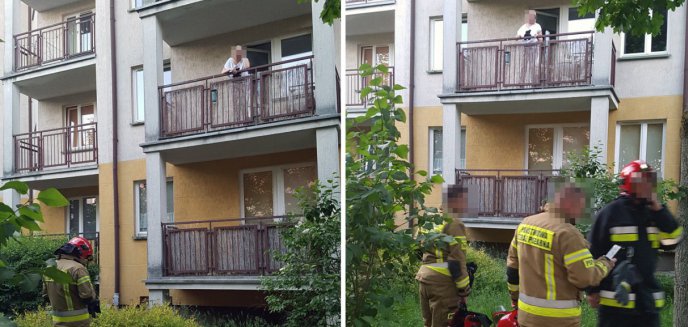Na ulicy Mroza w Olsztynie... pies uwięził kobietę na balkonie [ZDJĘCIA]