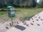 Tzw. ''kaczkomaty'' stanęły w Olsztynie pod koniec 2021 roku. Dlaczego są droższe od tych w Barczewie?