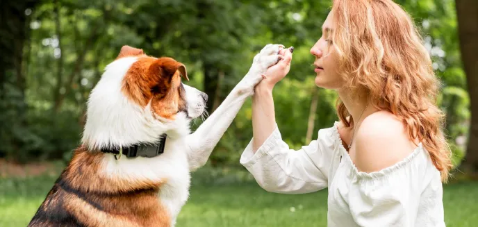 Pomagając, zyskasz przyjaciela na lata. Dlaczego warto adoptować zwierzęta ze schroniska?