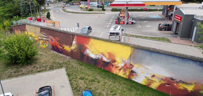 Nowy mural przy ul. Pstrowskiego w Olsztynie. To pelikan o trzech dziobach? [ZDJĘCIA]