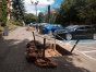 ''Rozszczelnianie betonu'' może pomóc miastu uniknąć podtopień podczas ulewnych deszczy