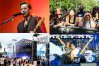 Niedziela na Olsztyn Green Festival