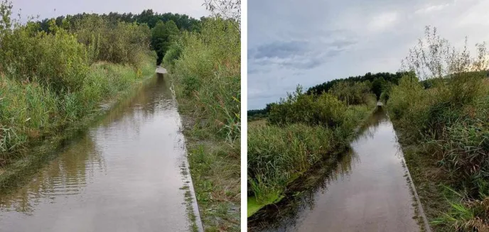 Gryzonie wykręciły rowerzystom wała? Na Kortowie Łyna wylała