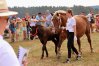 Zdjęcie 30