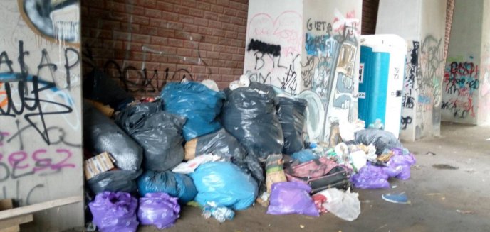 Artykuł: Osiedle Wojska Polskiego. Zrobili sobie składowisko śmieci pod zabytkowym mostem