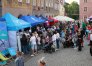 Zdjęcie 29