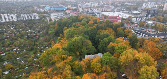 Artykuł: O tych parkach w Olsztynie świat zapomniał. Chcą je wskrzesić do życia [ZDJĘCIA]