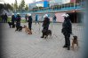 W niedzielę (8 października) w Olsztynie odbył się mecz o podwyższonym ryzyku, a więc piłkarskie derby województwa. Policja nie odnotowała większych incydentów