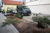 W pobliżu Urzędu Wojewódzkiego w Olsztynie nasadzono kolejne drzewa. Zazielenianie miasta ma związek z nową inwestycją trawmajową