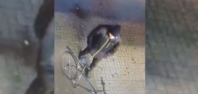 Ukradł rower o wartości 1,8 tys. zł. Teraz szuka go policja [WIDEO]