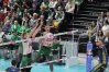 Zdjęcie 11