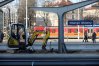 Zdjęcie 22