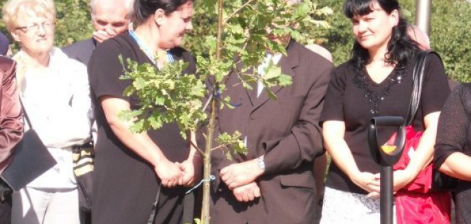 Dęby nie pozwolą zapomnieć