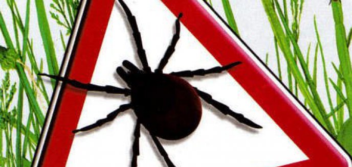 Bezpieczne wakacje na wsi