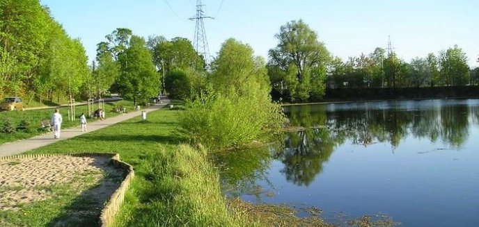 Oszczędzą drzewa nad Długim