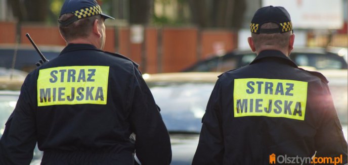 Straż miejska podsumowała rok. Ponad 12 tys. zgłoszeń od mieszkańców Olsztyna