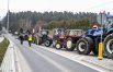 Zdjęcie 12