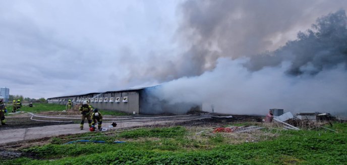 Gmina Dywity. Strażacy walczą z pożarem kurników [ZDJĘCIA]