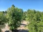 Zdjęcie 12
