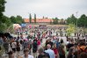 Zdjęcie 217