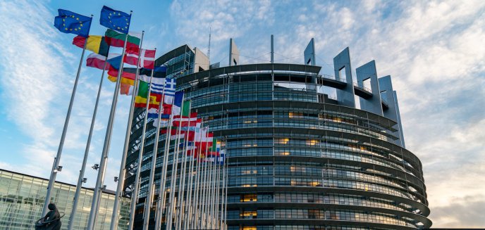 Artykuł: Wybory do PE. Warmińsko-mazurskie i podlaskie reprezentować będzie dwóch europosłów