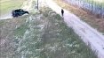 Obywatelka Kazachstanu została zatrzymana w pasie przy granicy polsko-rosyjskiej