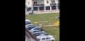 W Lubawie nagrano jak młodzi ludzie w futrzanych przebraniach "wyprowadzają się" na spacer
