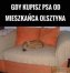 Zdjęcie 9