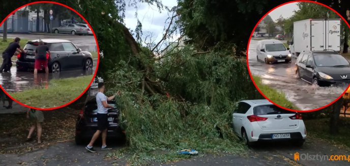 Artykuł: Burze nad regionem. W Olsztynie drzewo przygniotło 25-latka. Ulice pod wodą [AKTUALIZACJA, ZDJĘCIA, WIDEO]