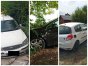 Strażnicy miejscy usunęli z ulic Olsztyna kolejne nieużytkowane pojazdy: peugeota, renaul i forda