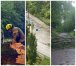 We wtorkowy wieczór (17 lipca) przez region przeszły burze. W Olsztynie ucierpiał mężczyzna, na którego spadła gałąź.