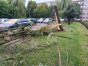 Zdjęcie 6