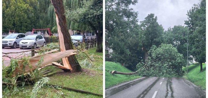 Olsztyn na sygnale. Połamane drzewa, zablokowane drogi [ZDJĘCIA]