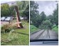 Połamane drzewa, zablokowane drogi - to olsztyński krajobraz po niedzielnej wichurze