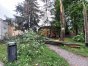 Zdjęcie 12
