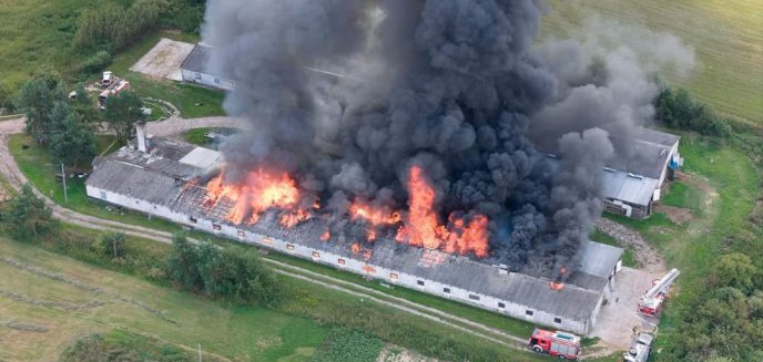 Artykuł: Wielki pożar kurnika wielkopowierzchniowego w powiecie ostródzkim [ZDJĘCIA]