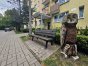 Zdjęcie 6