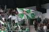 Zdjęcie 11