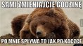 Zdjęcie 1