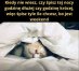 Zdjęcie 9
